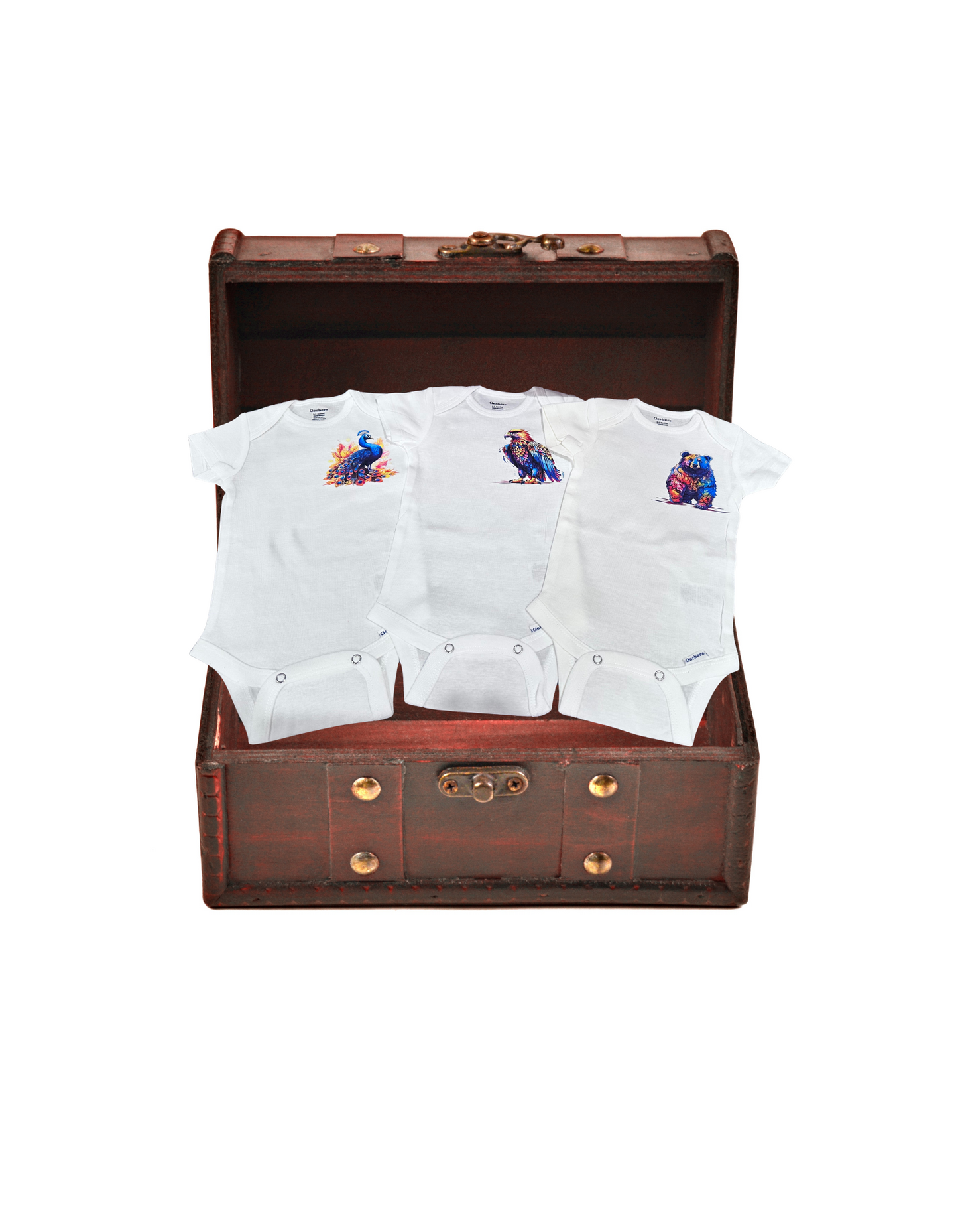 Animal Friends onesie set