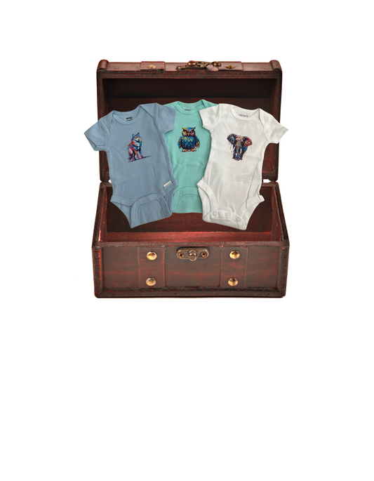 Baby boy onesie set