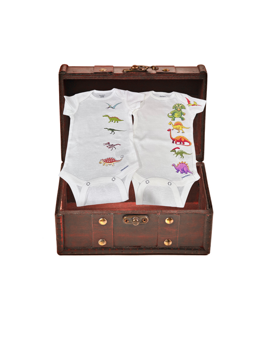 Dino Friends onesie set